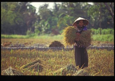 69-Mekong rizieres